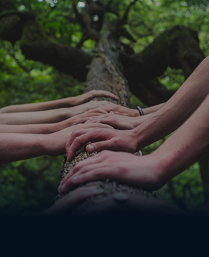 Hands Together