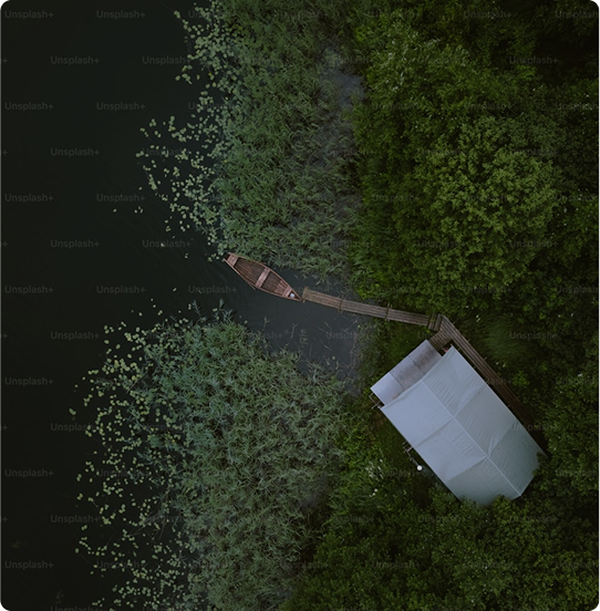 Aerial Swamp View